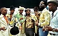 Hypnotic Brass Ensemble + Semi Mojo Revue en concert