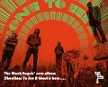 The Black Angels (Transmusicales de Rennes 2008) en concert