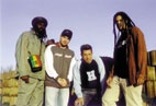Positive Roots Band. en concert � Rennes
