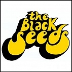 concert THE BLACK SEEDS