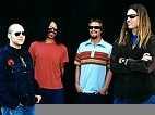 concert FU MANCHU