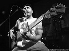concert OMAR