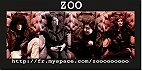 Zoo - Animal Quartet en concert