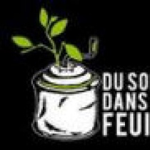 Du Son Dans Les Feuilles
