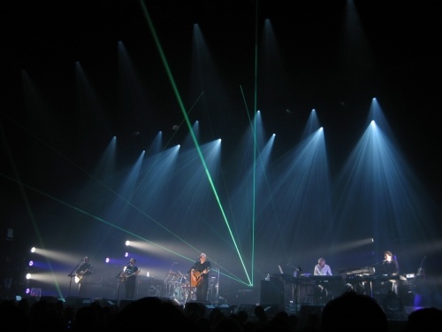 In the flesh live