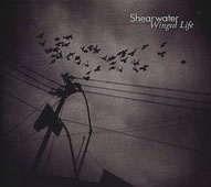 Shearwater : Winged Life