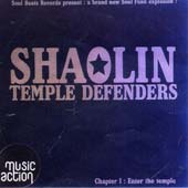 Shaolin Temple Defenders : Chapter 1 : Enter The Temple
