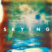The Horrors : Skying