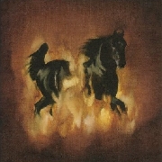 The Besnard Lakes : Are The Dark Horses