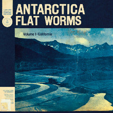 Flat Worms : 