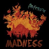 Professor : Madness (Avril 2011 / Soulbeats)