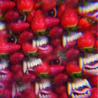 Thee Oh Sees : 