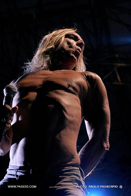 Iggy And The Stooges en concert