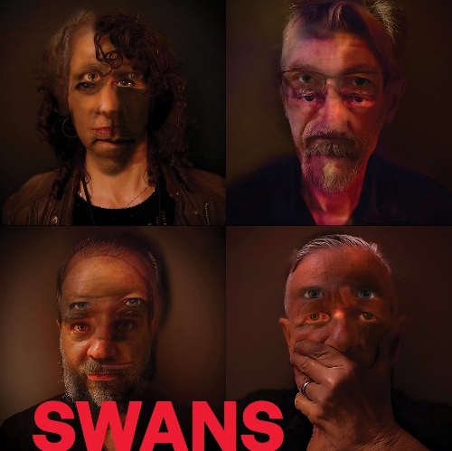 Swans en concert