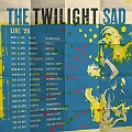 The Twilight Sad en concert