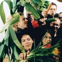 Vienna Vegetable Orchestra en concert