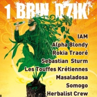 1 Brin d'Zik
