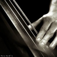 Nicolas Koedinger Quintet en concert