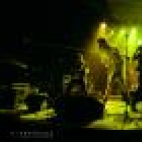 Moltenelle en concert