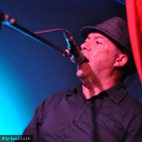 49 Swimming Pools en concert