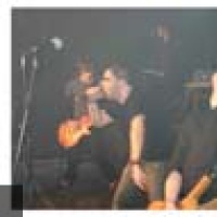 Ask The Dust en concert