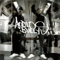 Audio Bullys en concert