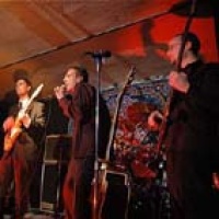 le Complexe du Renard en concert