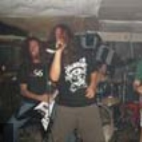 Crust division en concert