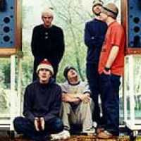 Super Furry Animals en concert