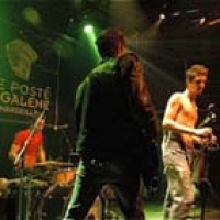 No Bull Case en concert