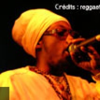 Ras Shiloh en concert