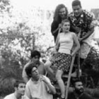 Squeeze Groove en concert