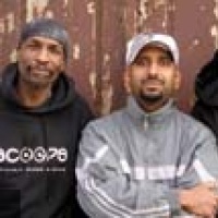 Vibronics en concert