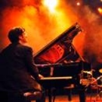 A Tree for Two en concert