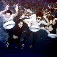 Adam Kesher en concert