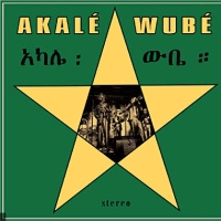Akal&eacute; Wub&eacute; en concert