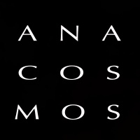 Anacosmos en concert