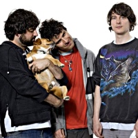 Animal Collective en concert