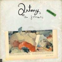 Antony and The Johnsons en concert