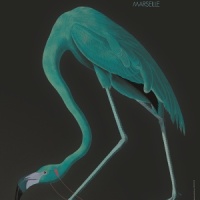 Aotoh (And On THe Other Hand)