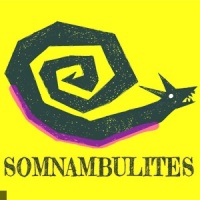 Les Somnambulites en concert