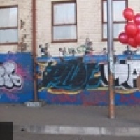 Baboon Dandy en concert