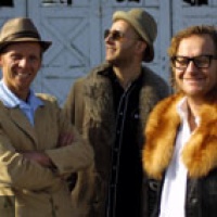 Bananafishbones en concert