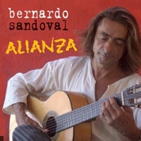 Bernardo Sandoval en concert