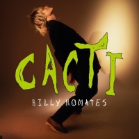 Billy Nomates en concert