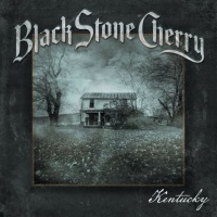 Black Stone Cherry en concert