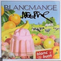 Blancmange en concert