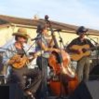 Bluegrass d'Oc en concert