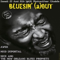 Bluesin'(a)out