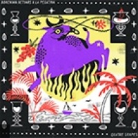 Bohemian Betyars  en concert